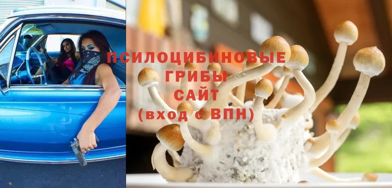 hydra ссылки  Казань  Псилоцибиновые грибы Cubensis  как найти закладки 